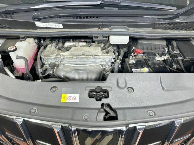 ALPHARD-18