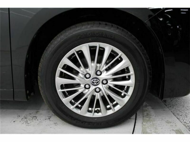 ALPHARD-12