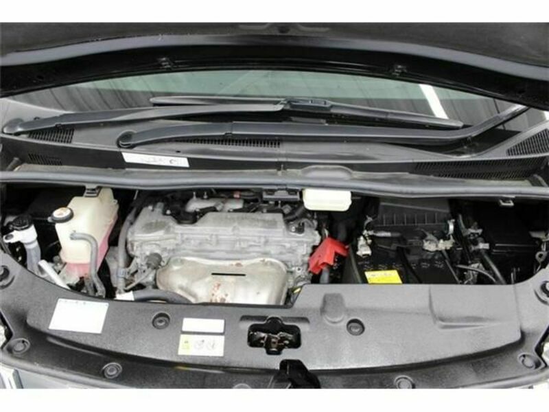 ALPHARD-17
