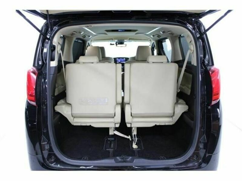 ALPHARD-18