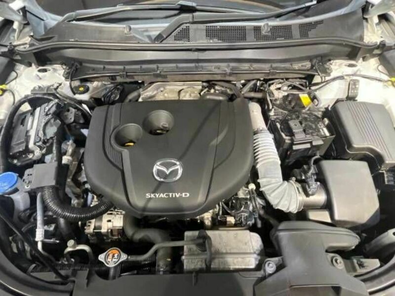 CX-8