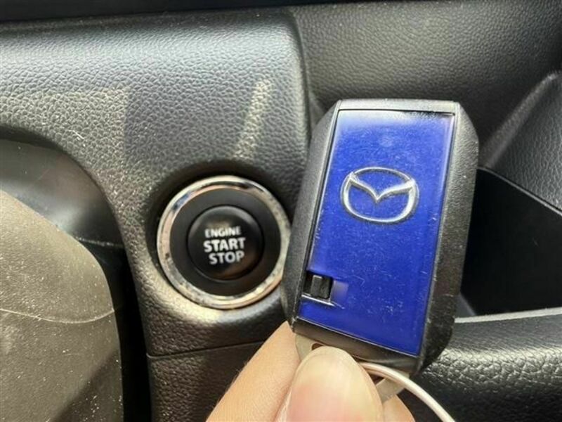 FLAIR