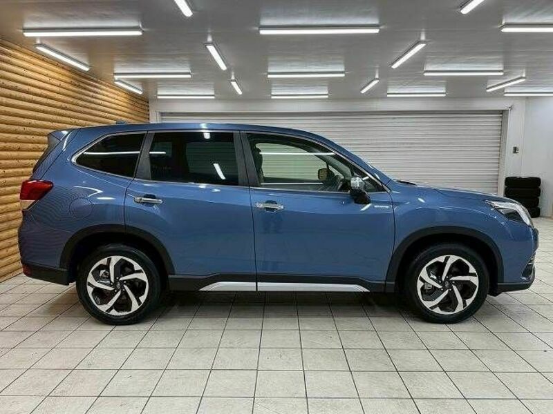 FORESTER