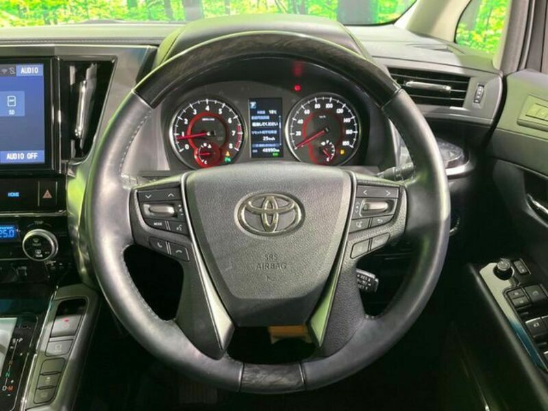 ALPHARD-11