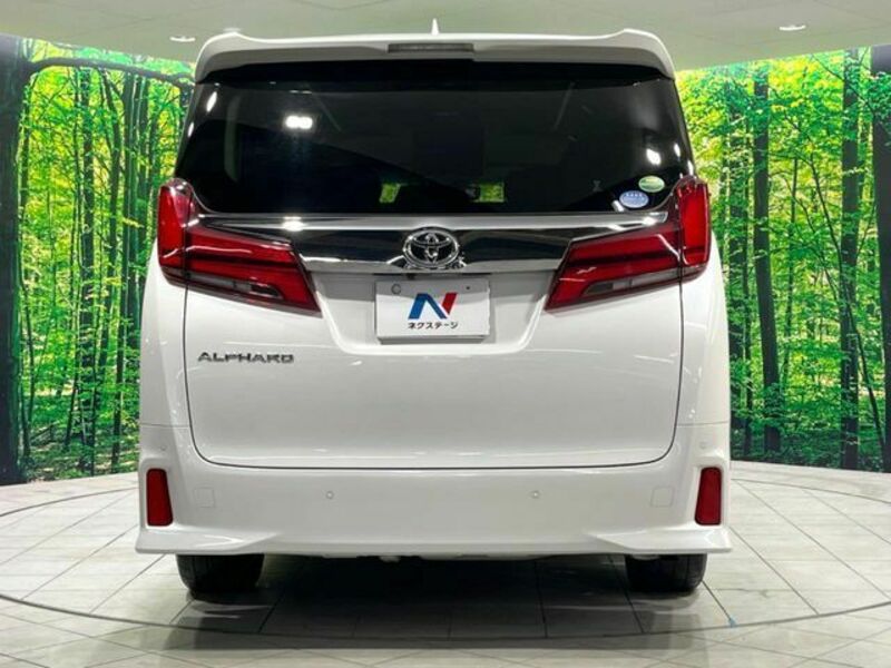 ALPHARD-15