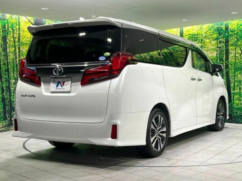 ALPHARD-16