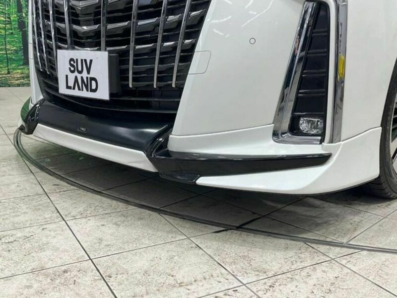 ALPHARD-4
