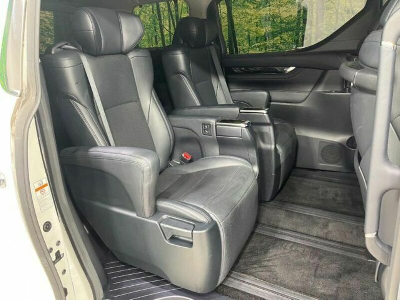ALPHARD-13