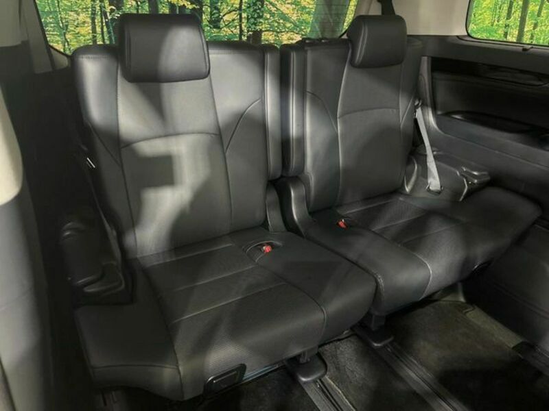 ALPHARD-14