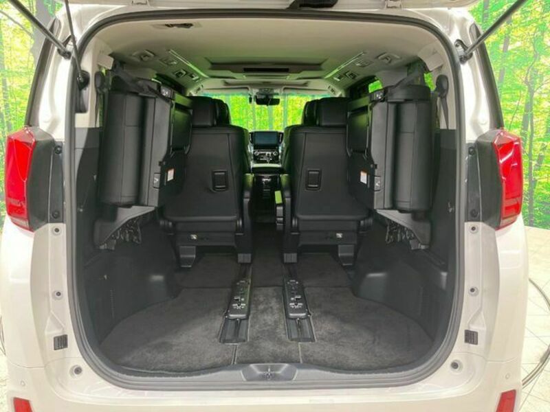 ALPHARD-15