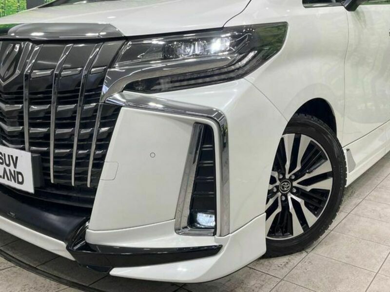 ALPHARD-17