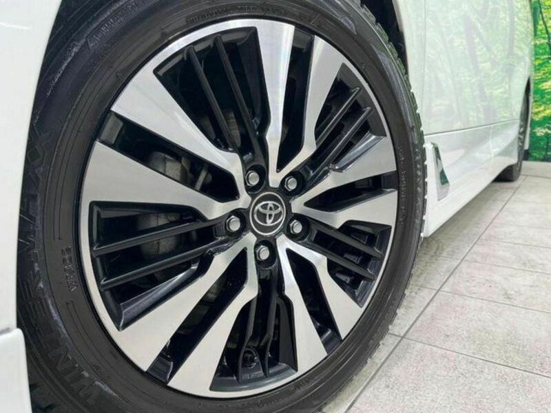 ALPHARD-18