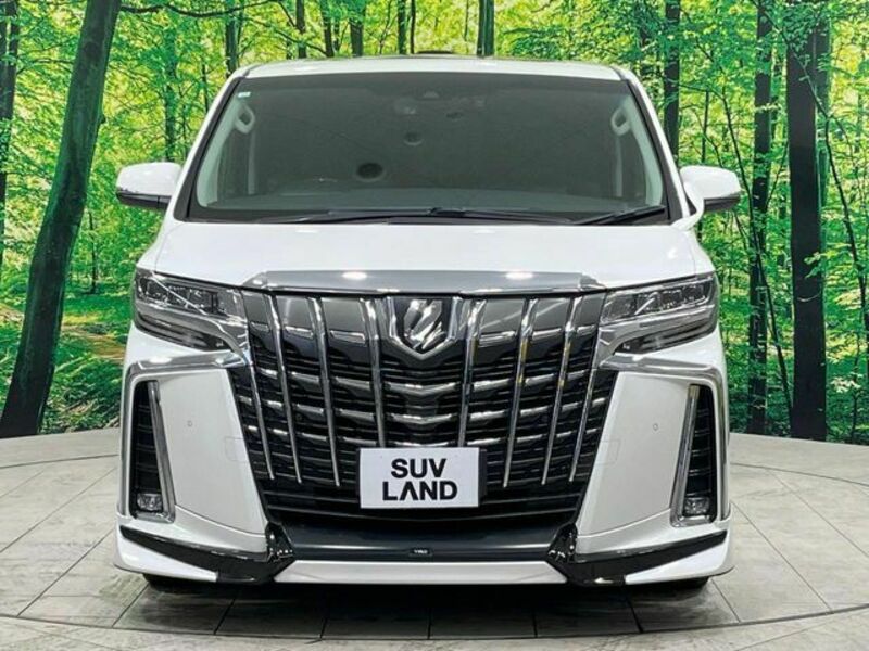 ALPHARD-19