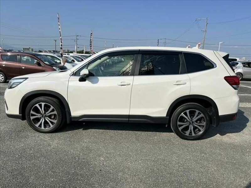 FORESTER