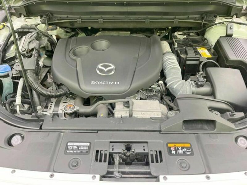 CX-8