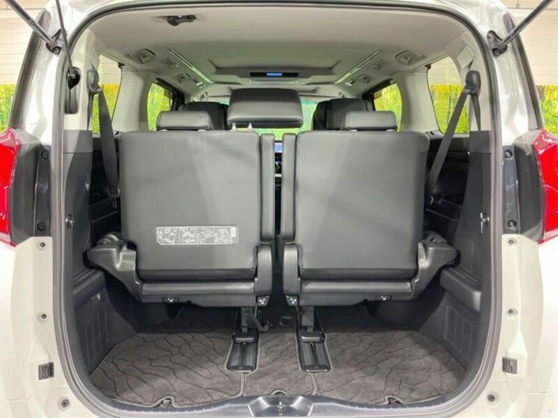 ALPHARD-10