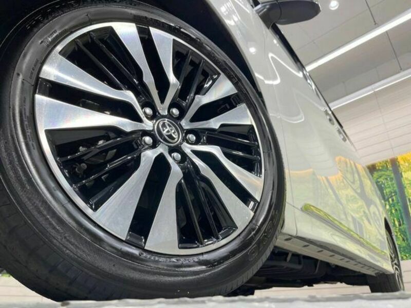 ALPHARD-13