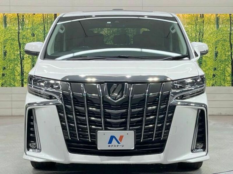 ALPHARD-14