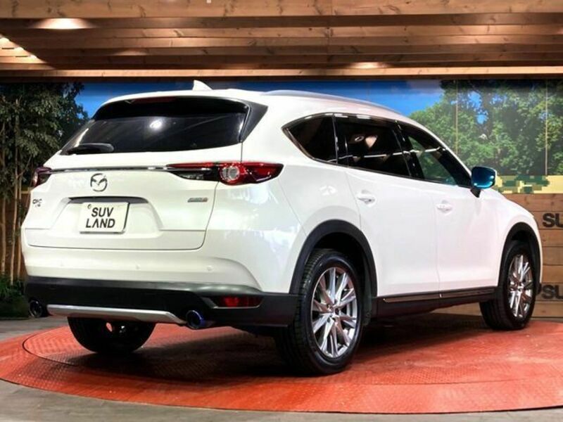 CX-8