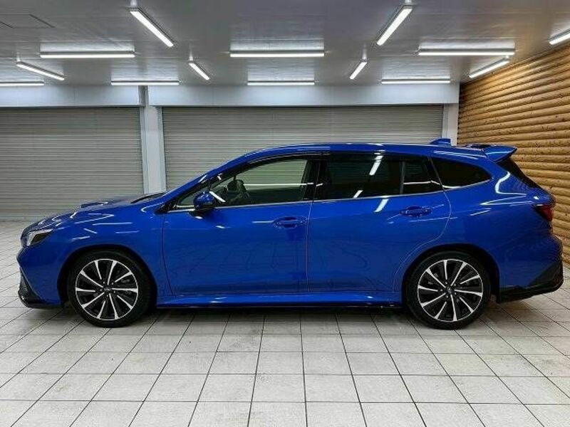 LEVORG