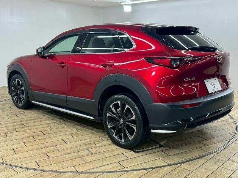 CX-30
