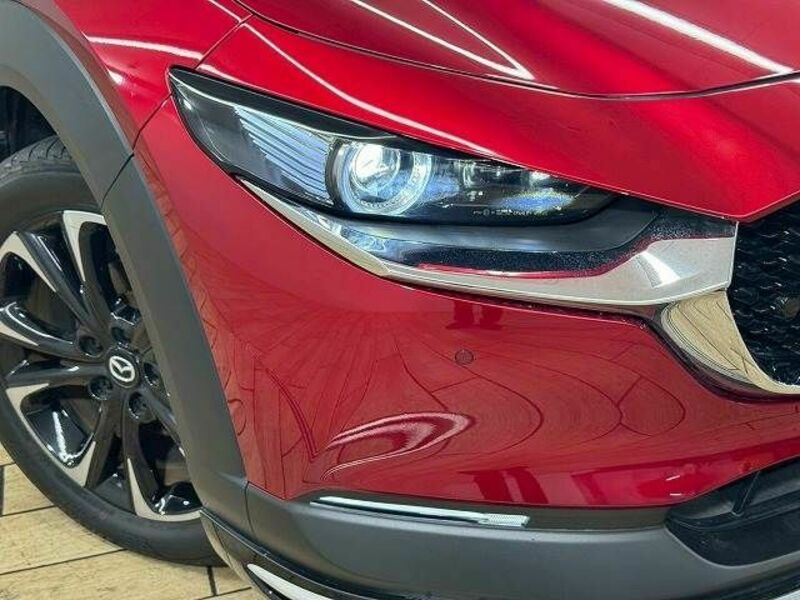 CX-30
