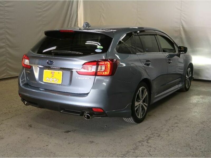 LEVORG-1