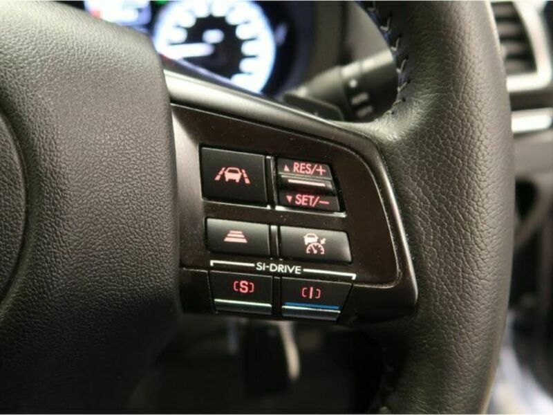 LEVORG-9