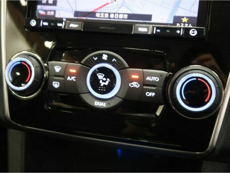 LEVORG-12