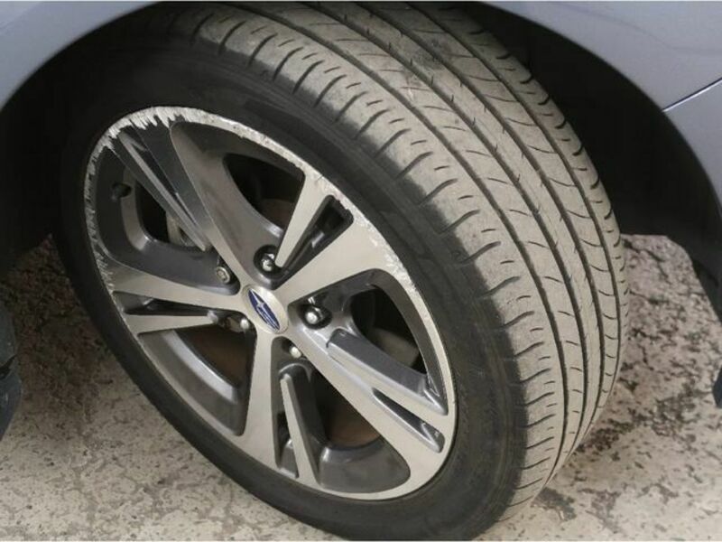 LEVORG-19