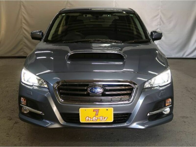LEVORG-20
