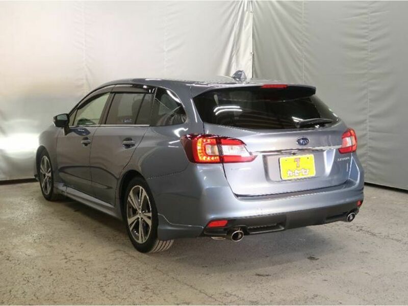 LEVORG-24