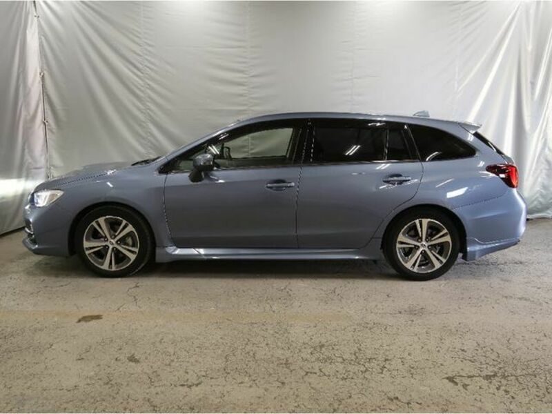 LEVORG-25
