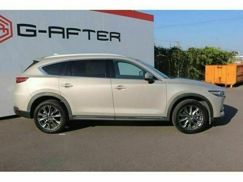 CX-8-7