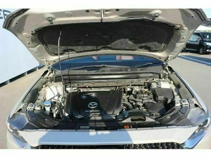 CX-8-18