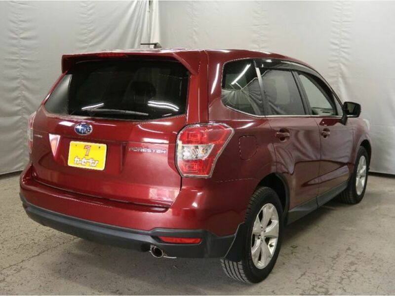 FORESTER-1