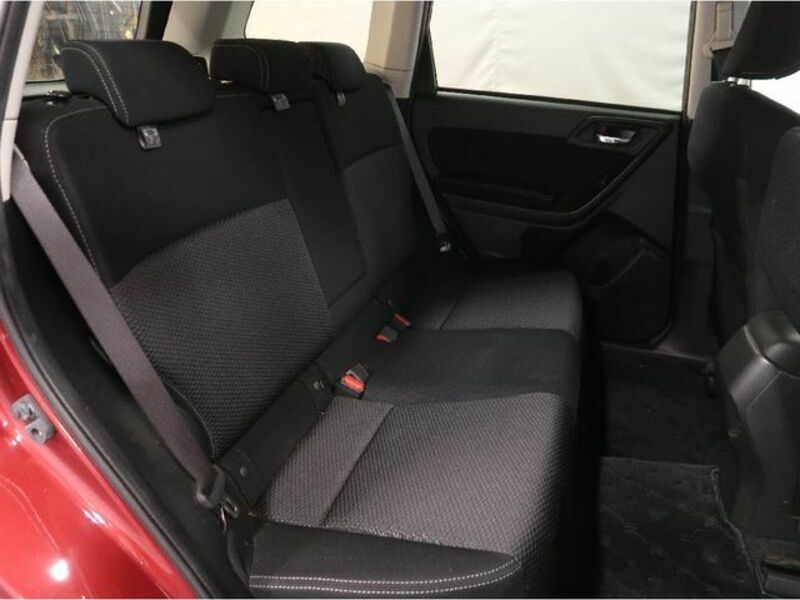 FORESTER-3
