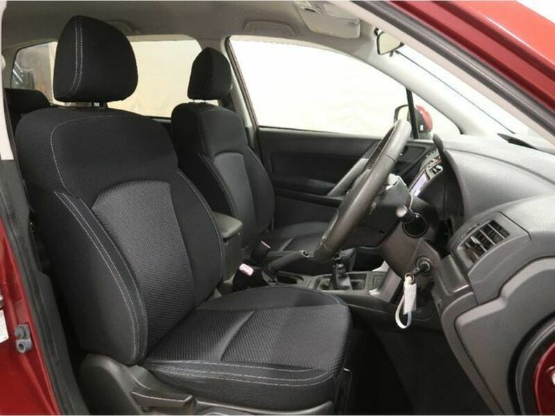 FORESTER-6
