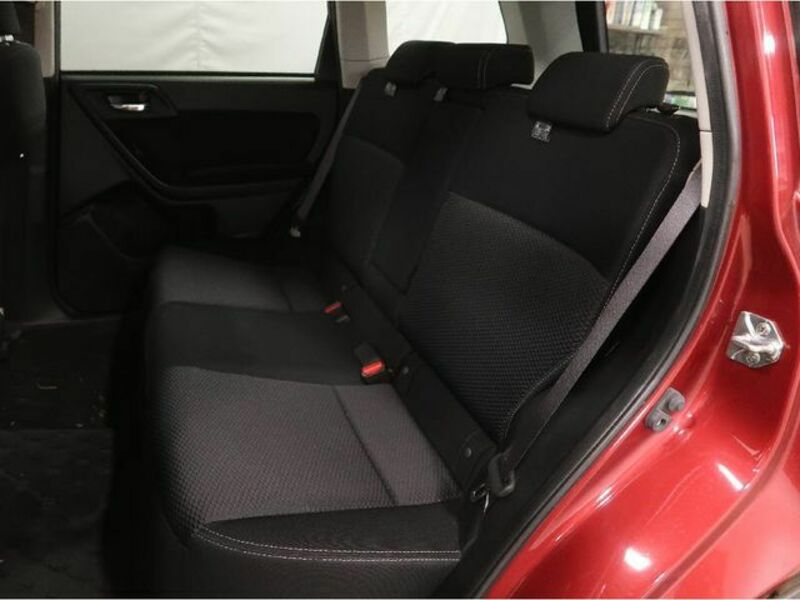 FORESTER-9