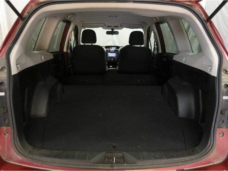 FORESTER-10