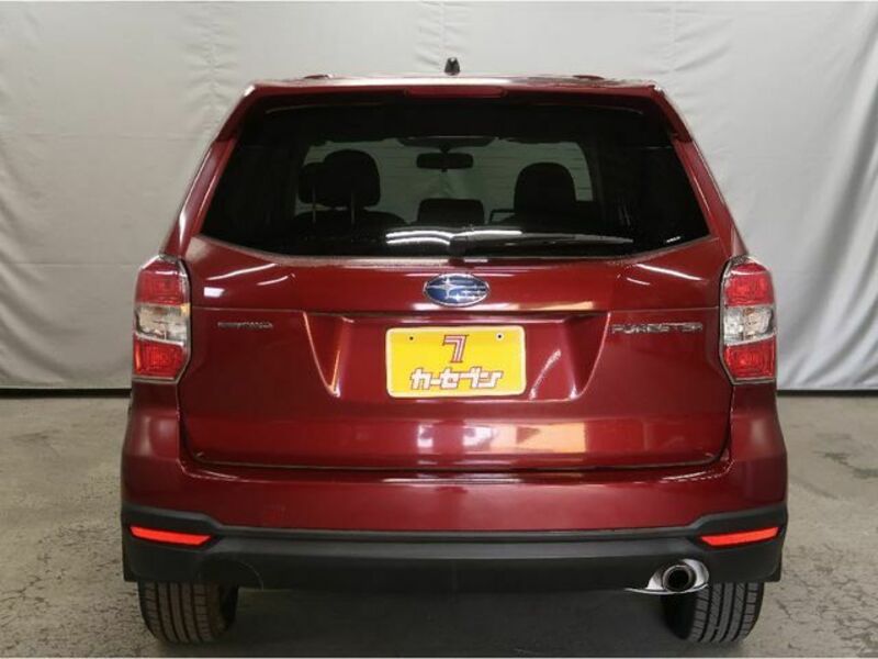 FORESTER-19