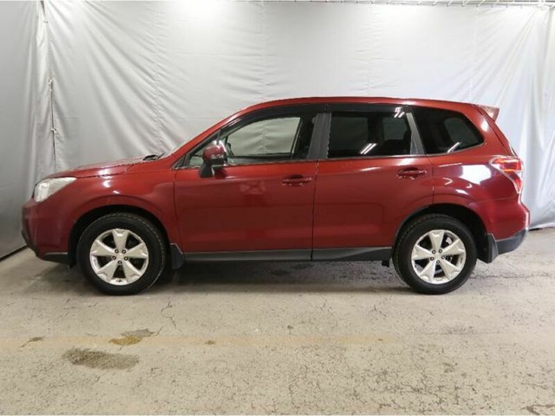 FORESTER-20