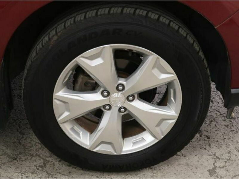 FORESTER-22
