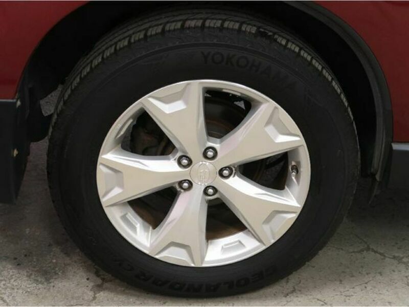 FORESTER-24