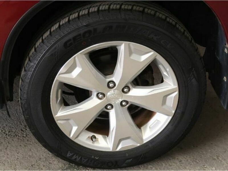 FORESTER-25