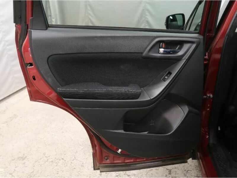 FORESTER-29
