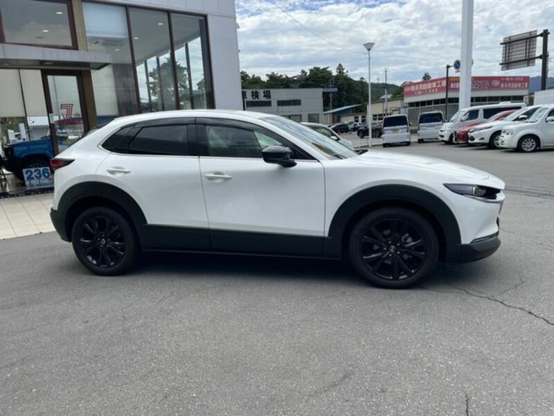 CX-30