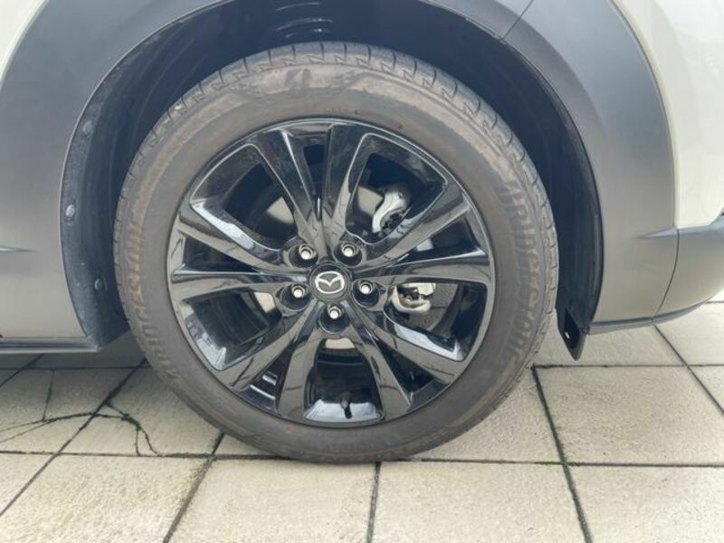CX-30