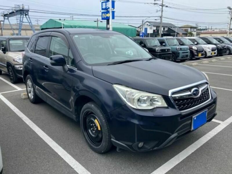 FORESTER-1