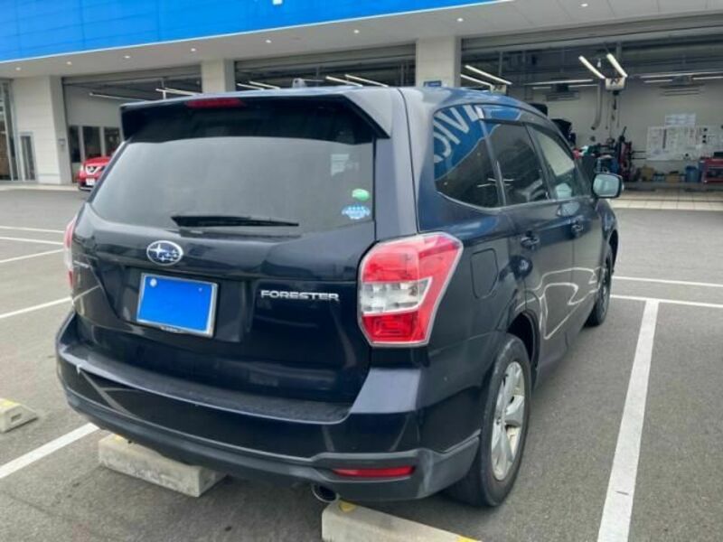 FORESTER-2